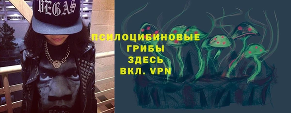 экстази Богданович